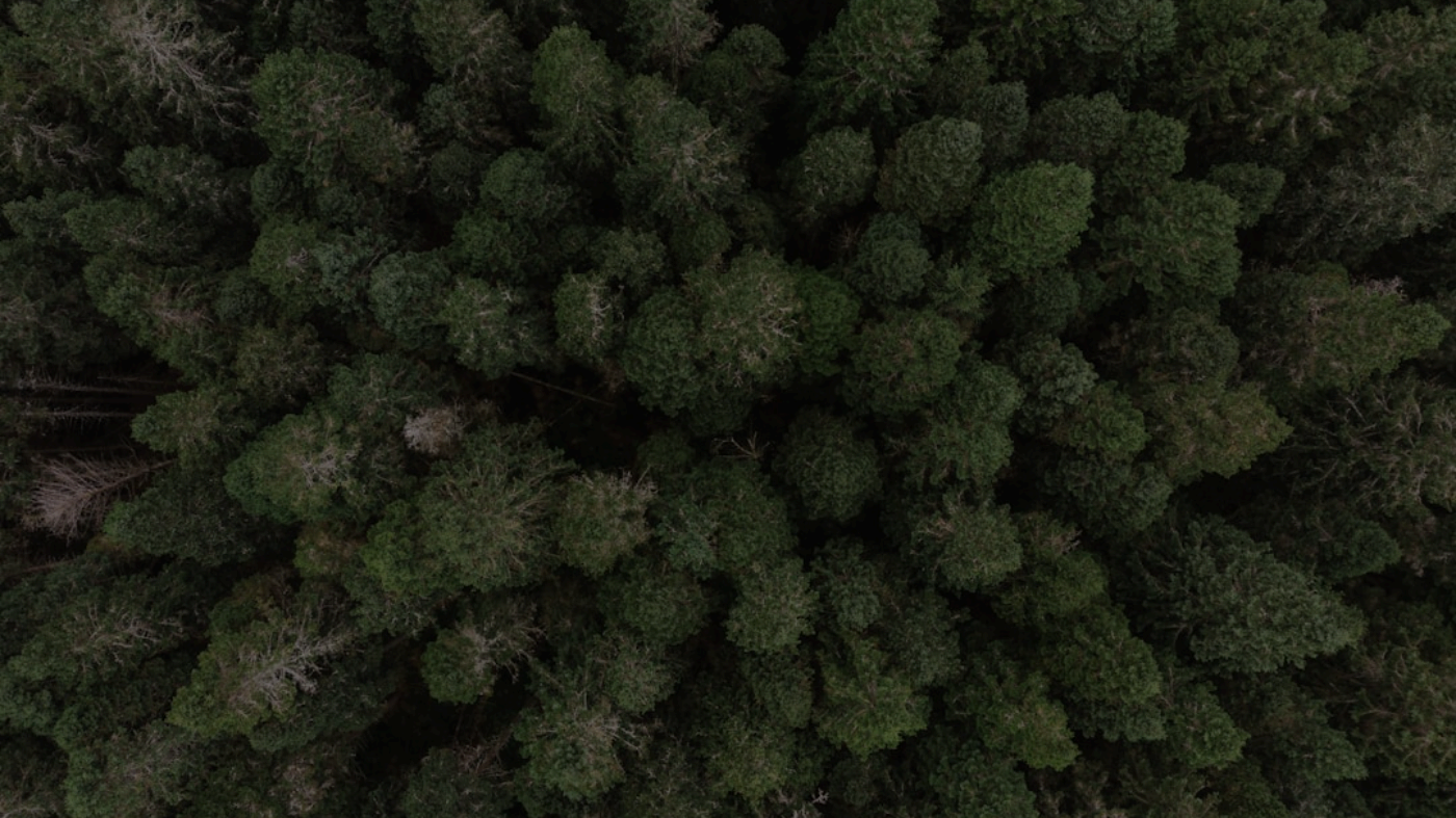 AI-Powered Image Search and Discovery AI-Powered Image Search and Discovery